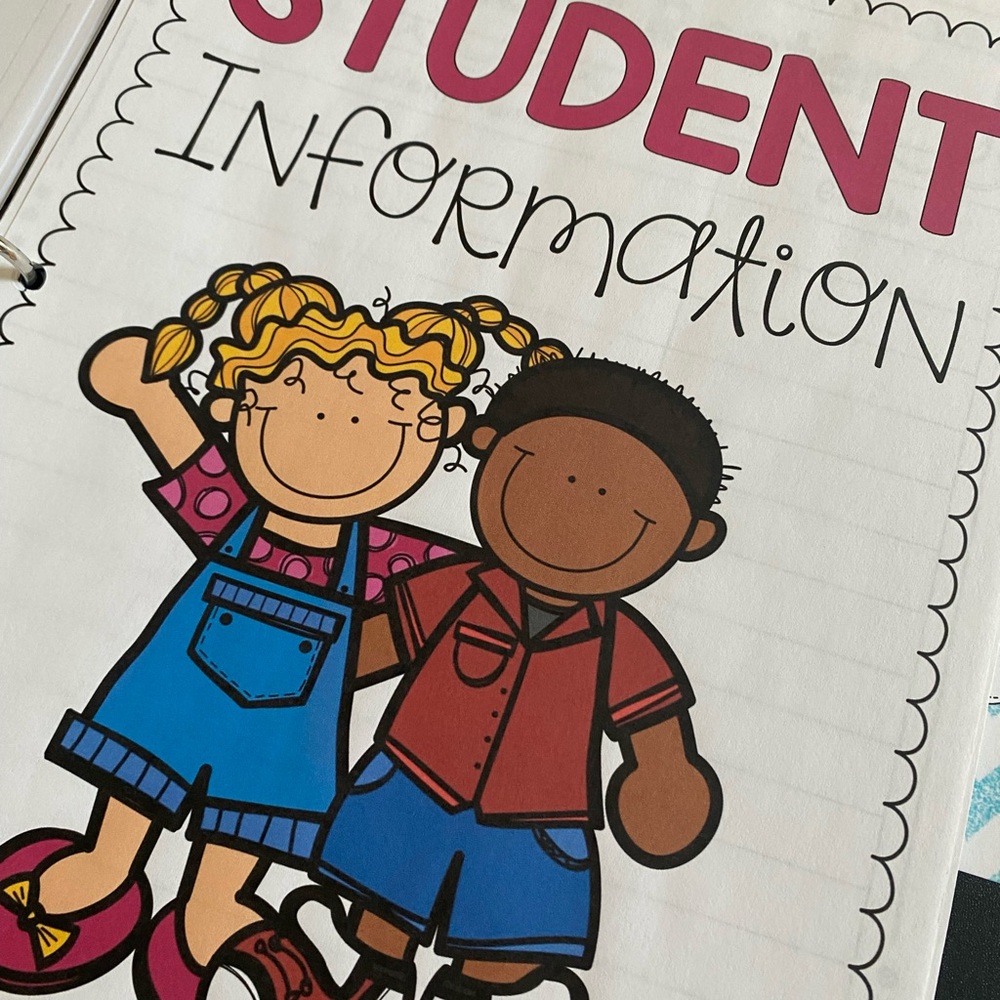TEACHER GRAB BAG Substitute Teacher Binder - Picture 3 of 15